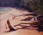 Logs on the Beach